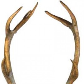 Большая голова оленя, 135 см